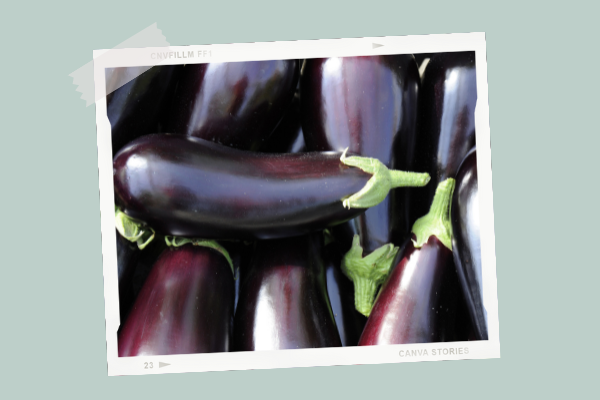 Aubergines Cooking Baby Food Aubergines Cooking Baby Food