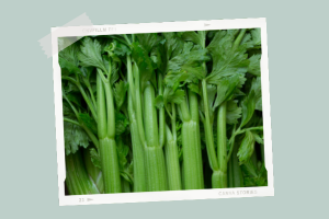 celery