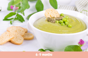 Turkey & green beans puree