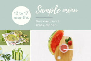 Sample menu 12 to 17 months