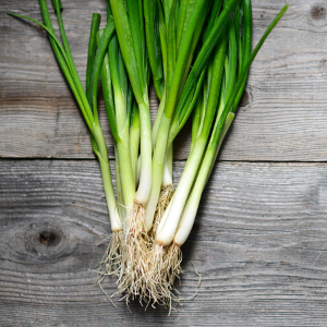 Leek