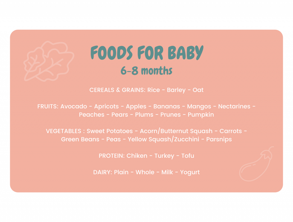 Foods for baby 6-8 months