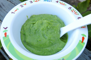Baby's first green bean purée