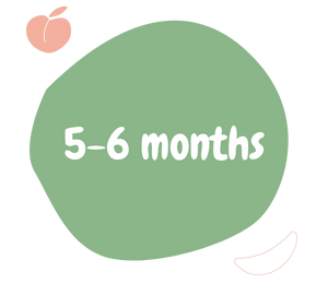 bloc ages 5-6 months